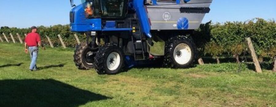 Harvest Time September 25 2025